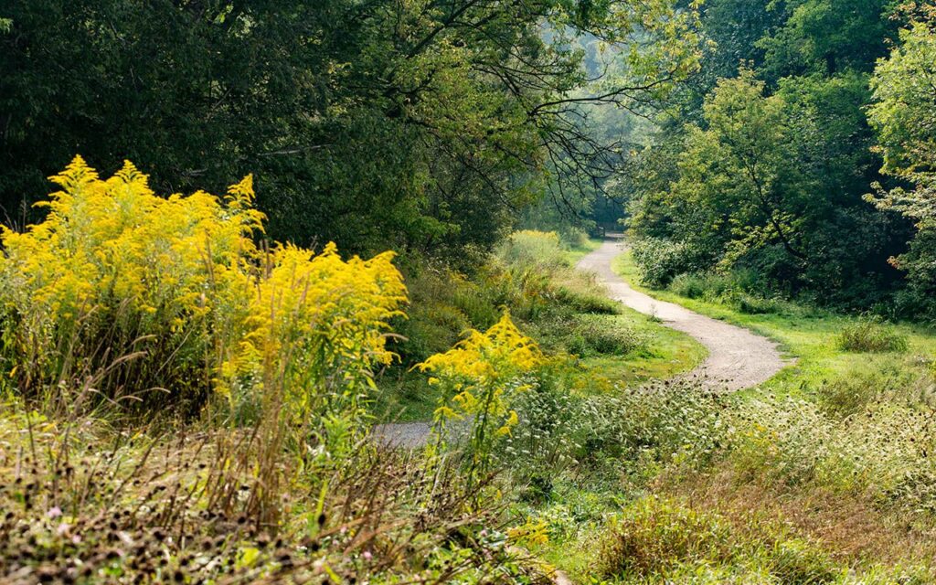 Nordheimer Ravine walking trail