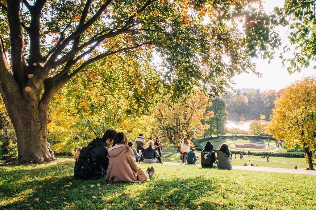 Groups of people sitting on a hill in High Park, Toronto in the fall time