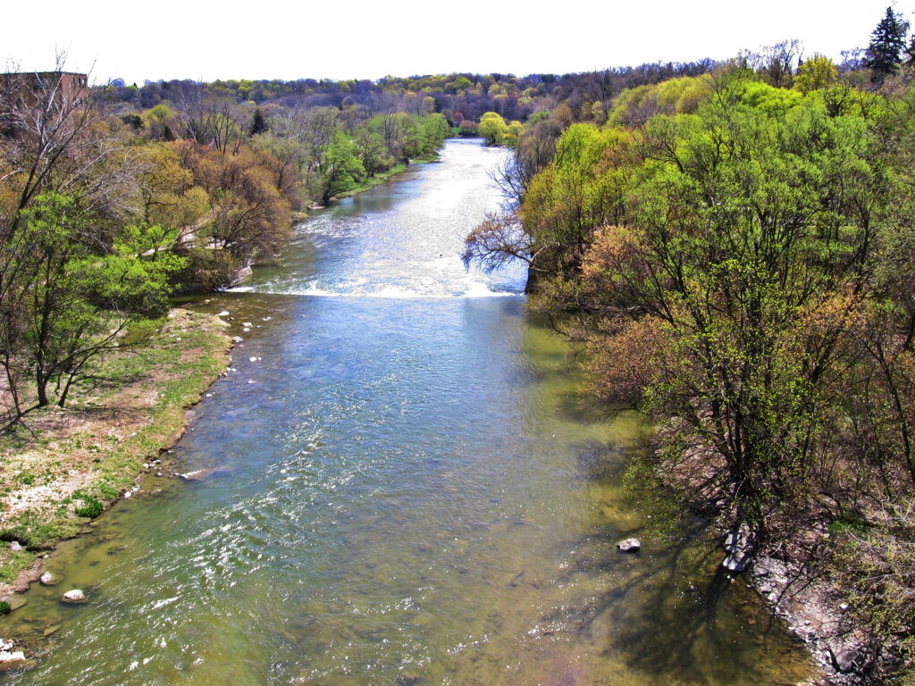 Aerial view of Humber River with colourful trees during the fall